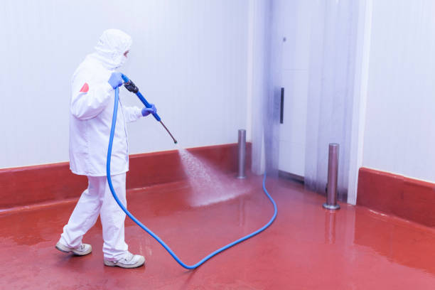 Best Solar Panel Cleaning  in Cottage City, MD